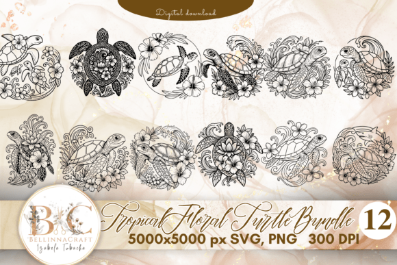 Tropical Floral Turtle SVG PNG Bundle: Graphics and Illustrations Review