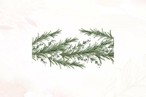 Watercolor Rosemary Floral Border Herb Graphics and Illustrations Review